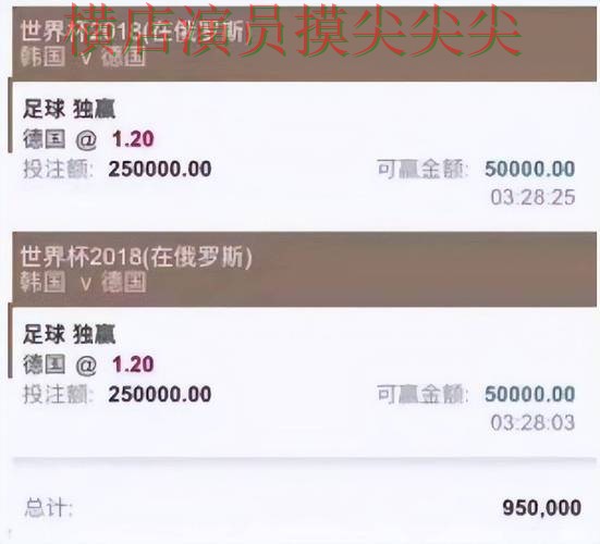 世界杯投注平台推荐精选：速度测试+直播全指南 - 世界杯高清直播